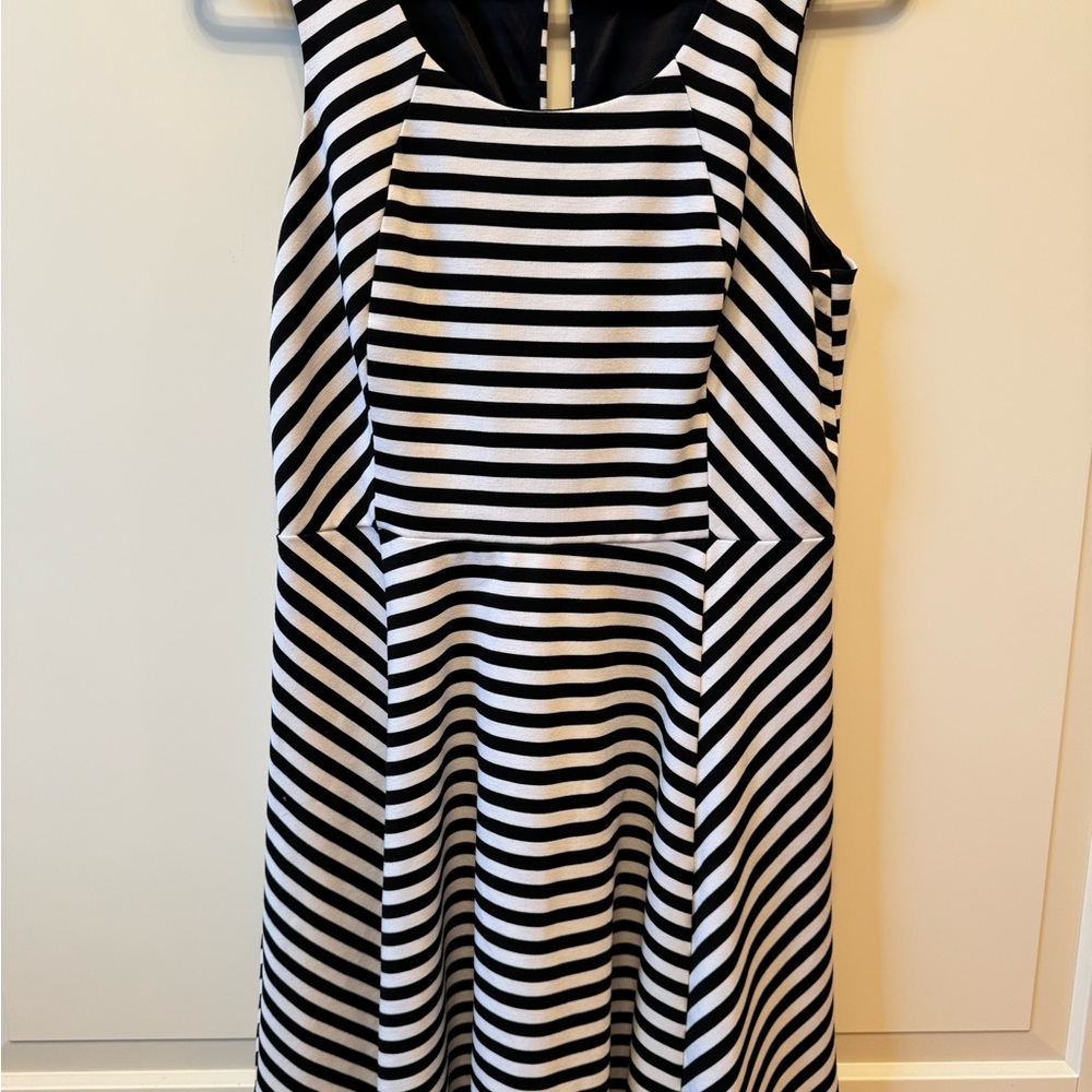 Express Black and White Striped Sleeveless Dress